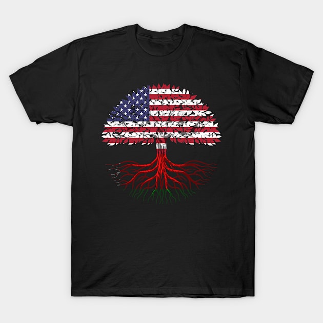 Belarusian American citizenship gift T-Shirt by SerenityByAlex